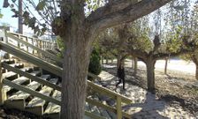 Las escaleras de homrg�n de la playa han sido sustituidas por otras nuevas de madera. 