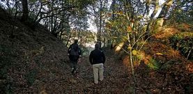Visitantes en el Castri�o de Bendoiro, uno de los treinta y un castros que atesora el Concello de Lal�n.