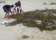 En Voz Natura y Naturacci�n colabora tambi�n Alcoa, en la imagen alumnos del Vilar Ponte en la playa.