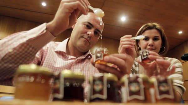 La feria ap�cola prev� la celebraci�n de catas de miel