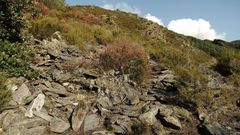 Restos de antiguas construcciones en el castro de Penadominga en una imagen tomada en el 2002, cuando el lugar a�n no estaba totalmente cubierto por la vegetaci�n