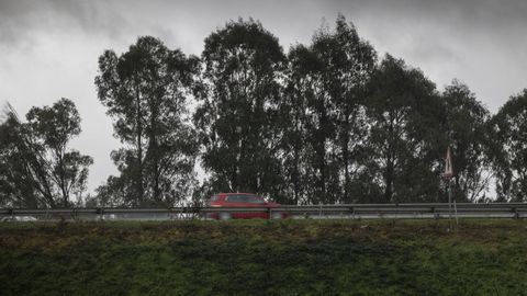 Un 60 % de las operaciones de compra de tierra r�stica del 2021 fueron de monte