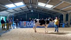 Imagen de la subasta celebrada en el 2022