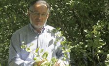 Regueiro destac� la gran importancia bot�nica del enclave natural eum�s. 