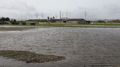 Zona de cultivo de A Limia, inundada por el exceso de lluvias.