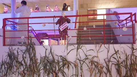 Os alumnos de Antas de Ulla celebraron o Sama�n aprendendo sobre o Cami�o de Santiago e o galego