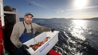 En imagen de archivo, trabajos a bordo de O Xilgueiro, uno de los barcos de bajura de la flota de Celeiro