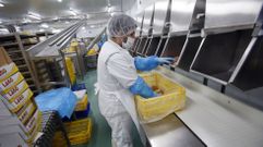 Un operario en las instalaciones de Lago Aves, en el pol�gono de O Vao de Pontevedra. 