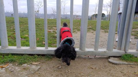  �El cierre tubular carente de verjas permite que cachorros y perros de peque�o tama�o entren y salgan libremente. No es segura para ellos�, apunta M�nica Cubeiro, responsable del portal Somos PetFriendly A Coru�a