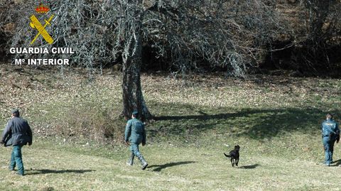 Operativo de b�squeda de la Guardia Civil