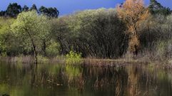 La parcelaria sigue totalmente inundada