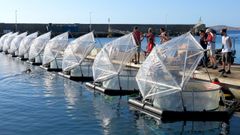Mesocosmos experimentales en el muelle de Gran Canaria