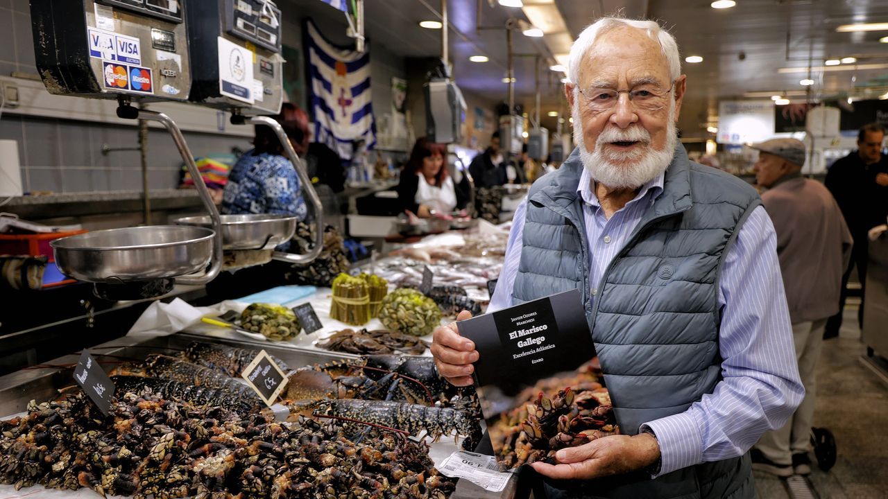 Todo el marisco cabe en este libro
