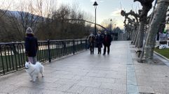 La situaci�n de Valdeorras es razonablemente buena