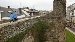 Hierbas en la Muralla de Lugo