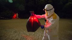 Un bombero de A Coru�a retira un nido de velutina en la playa de As Lapas
