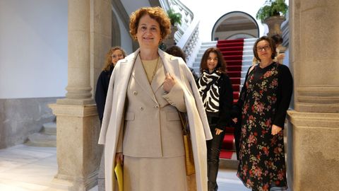 La decana del Colexio Provincial da Avogac�a de Pontevedra, Gema Rial, tras leer la declaraci�n por el 25N