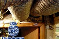 Espacio en el que estaba oculta la droga intervenida.
