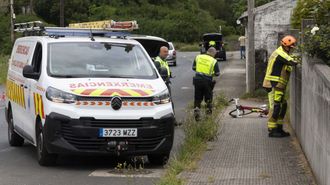 El tr�gico accidente se produjo en Vivente, en la parroquia carballesa de Arda�a.
