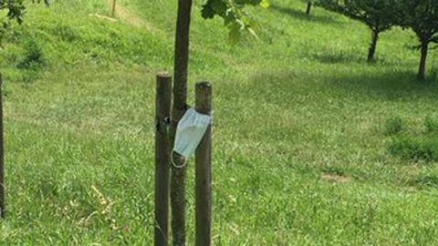 Mascarillas y guantes: de art�culos de protecci�n�a basura por�los suelos