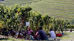 Jornaleros descansando para comer bajo las parras en los viedos de la bodega Altos de Torona, en Tomio. 