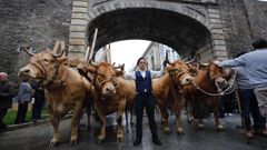 Desfile de ganado en San Froil�n