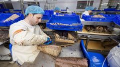 Elaboraci�n de conservas en Calvo, ahora Nauterra 