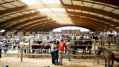 Otro clásico cada 25 de julio en Compostela, la Feira Cabalar de Amio