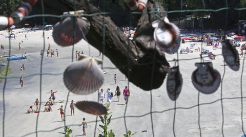 Playa de Aguete. Conchas de zamburias con inscripciones de loe turistas en O Rincn de Poty