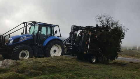 Traslado de madera cortada en terreno de la comunidad de montes Teniente e Xistral, en el municipio de Muras