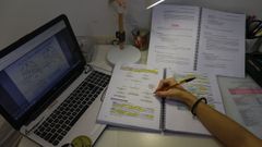 Los universitarios gallegos, como la de la imagen, dedican estos d�as a preparar sus inminentes ex�menes de fin de cuatrimestre