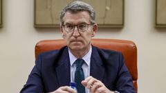 El presidente del PP, Alberto N��ez Feijoo, en una  reuni�n plenaria del Grupo Popular del Congreso y el Senado.