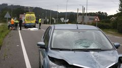 Atropello mortal en la N-642, a la altura de Espi�erido-Cervo