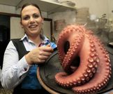 Nuria G�mez decidiu coller as rendas da Pulper�a O Panadeiro, que leva con �xito, seg�n di. 