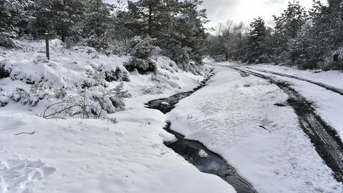 Otro aspecto del acceso al alto de Catro Cabaleiros des de A Pobra do Broll�n, donde la nieve depositada sobre el suelo alcanz� un notable grosor