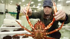 En imagen de archivo, subasta de marisco en la lonja de Burela