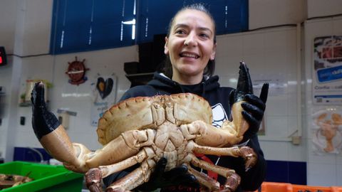 La pescantina María Prin, con un buey del país