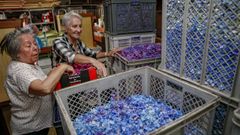 En Boiro ya tienen todo casi listo para elaborar las alfombras florales de Corpus