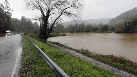  Zona inundada a causa del desbordamiento del r�o Narcea a su paso por Quinzanas.