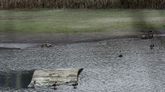 Puente romano a la vista en el embalse de Rexedoiro, en el pol�gono de Sab�n.