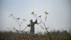 Unidades de los Bombeiros de A Coru�a y de la Xunta intervienen en un incendio pr�ximo a O Porti�o