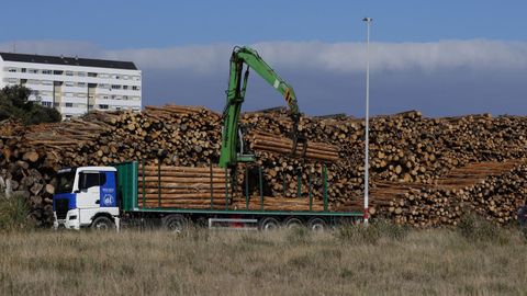 Madera de eucalipto apilada en el puerto de Burela