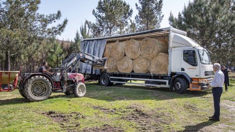 El primer cami�n con paja para las vacas lleg� ayer al monte de Ponteareas