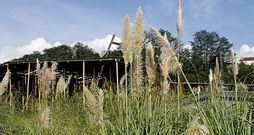 El futuro de las estructuras levantadas en A parda, que est�n abandonadas desde el a�o 2009, se dejar� en manos de la concesionaria. 