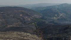 Desolador aspecto que presentan despois dos lumes as serras ourenss de San Mamede e de Chandrexa de Queixa.