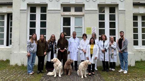 Uva, Pot y Briana, los perros de terapia, con parte del equipo de salud mental del Hospital Marítimo de Oza (Chuac) la presidenta de la Fundación María José Jove, Felipa Jove, y el gerente del área sanitaria, Luis Verde.