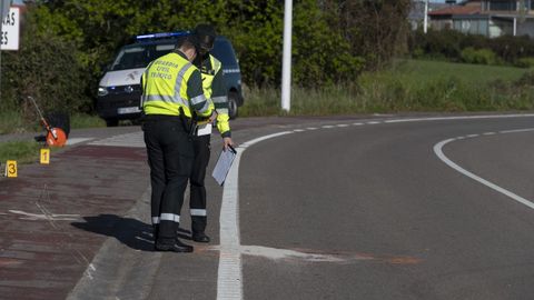 Agentes de la Guardia Civil en el lugar del atropello.