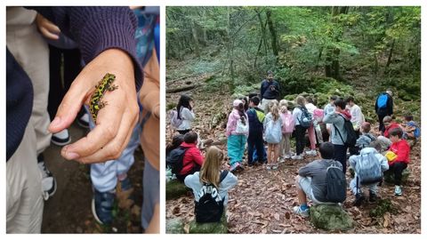 Los alumnos de la Jorge Juan pudieron ver de cerca especies autóctonas como salamandras