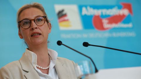 La lder de la ultraderecha alemana, Alice Weidel
