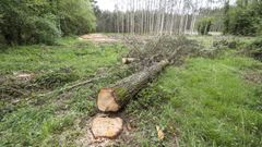 Lugar en el que se produjo el accidente laboral